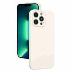 For iPhone 13 Pro Max Fine Hole Liquid Silicone Phone Case(White)