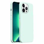 For iPhone 13 Pro Max Burom Cloud Sensing Ultra-thin Liquid Silicone Full Coverage Phone Case(Mambo Green)