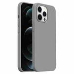 For iPhone 12 Pro Max Burom Cloud Sensing Ultra-thin Liquid Silicone Full Coverage Phone Case(Fifty Shades of Grey)