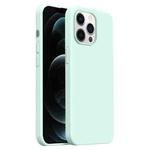 For iPhone 12 Pro Max Burom Cloud Sensing Ultra-thin Liquid Silicone Full Coverage Phone Case(Mambo Green)