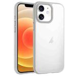 For iPhone 12 Phantom Frosted Airbag Shockproof Transparent Phone Case(Grey)