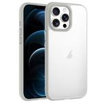 For iPhone 12 Pro Max Phantom Frosted Airbag Shockproof Transparent Phone Case(Grey)