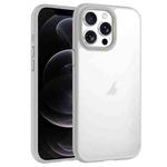 For iPhone 12 Pro Phantom Frosted Airbag Shockproof Transparent Phone Case(Grey)