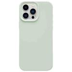 For iPhone 13 Pro Max Dopamine Simple Imitation Liquid Silicone Phone Case(Milk Green)