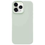 For iPhone 11 Pro Max Dopamine Simple Imitation Liquid Silicone Phone Case(Milk Green)