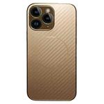 For iPhone 11 Pro Max Plating Carbon Fiber MagSafe Full Coverage Phone Case(Gold)