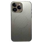 For iPhone 11 Pro Max Plating Carbon Fiber MagSafe Full Coverage Phone Case(Silver)