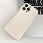 For iPhone 12 Pro Fine Hole Insert Card Slot TPU Phone Case(White)