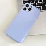 For iPhone 11 Pro Max Fine Hole Insert Card Slot TPU Phone Case(Purple)