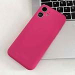 For iPhone 11 Fine Hole Insert Card Slot TPU Phone Case(Rose Red)