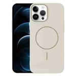 For iPhone 12 Pro Max Thin Circle PC Injection MagSafe Phone Case(Rock Beige)