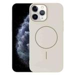 For iPhone 11 Pro Max Thin Circle PC Injection MagSafe Phone Case(Rock Beige)