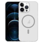 For iPhone 12 Pro Max Clear PC Injection MagSafe Phone Case(Titanium Gray)