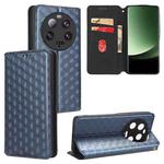 For Xiaomi 13 Ultra Cubic Grid Texture Flip Leather Phone Case(Blue)