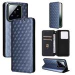 For Xiaomi 14 Pro Cubic Grid Texture Flip Leather Phone Case(Blue)
