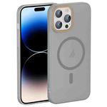 For iPhone 14 Pro Translucent Frosted Skin PC MagSafe Phone Case(Grey)