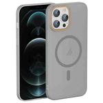 For iPhone 12 Pro Translucent Frosted Skin PC MagSafe Phone Case(Grey)
