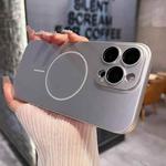 For iPhone 16 Pro Matte Frosted Fine Circle MagSafe Lens Protection Phone Case(Star Silver)