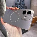 For iPhone 12 Matte Frosted Fine Circle MagSafe Lens Protection Phone Case(Star Silver)