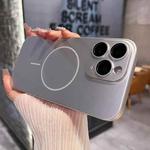 For iPhone 11 Pro Max Matte Frosted Fine Circle MagSafe Lens Protection Phone Case(Star Silver)