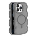 For iPhone 12 Pro Max Skin Feel MagSafe Phone Case(Grey)