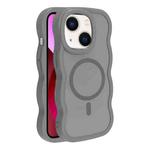 For iPhone 14 / 13 Skin Feel MagSafe Phone Case(Grey)
