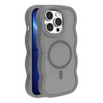For iPhone 13 Pro Skin Feel MagSafe Phone Case(Grey)