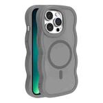 For iPhone 13 Pro Max Skin Feel MagSafe Phone Case(Grey)