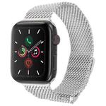 For Apple Watch 46mm / 49mm / 45mm / 44mm Double-section Magnetic Milanese Steel Watch Band(Silver)
