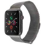 For Apple Watch 42mm / 41mm / 40mm / 38mm Double-section Magnetic Milanese Steel Watch Band(Titanium Color)