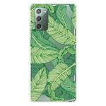 For Samsung Galaxy Note20 Shockproof Painted Transparent TPU Protective Case(Banana Leaf)