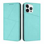For iPhone 13 Pro Max Strong Magnetic Frosted Flip Leather Phone Case(Light Blue)