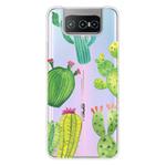 For Asus Zenfone 7 ZS670KS Shockproof Painted Transparent TPU Protective Case(Cactus)