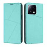For Xiaomi 13 Strong Magnetic Frosted Flip Leather Phone Case(Light Blue)
