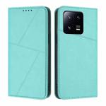 For Xiaomi 13 Pro Strong Magnetic Frosted Flip Leather Phone Case(Light Blue)