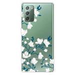 For Samsung Galaxy Note20 Shockproof Painted Transparent TPU Protective Case(Magnolia)
