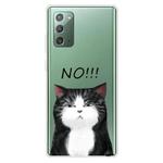 For Samsung Galaxy Note20 Shockproof Painted Transparent TPU Protective Case(NO Cat)