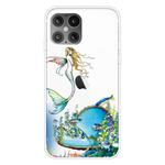 For iPhone 12 / 12 Pro Shockproof Painted Transparent TPU Protective Case(Mermaid)