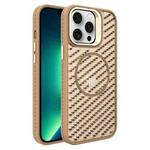 For iPhone 13 Pro Max O-Shape Hollow Cooling Lens Holder MagSafe Phone Case(Gold)