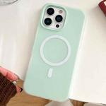 For iPhone 16 Pro Skin Feel MagSafe Magnetic PC Hybrid TPU Phone Case(Light Cyan)