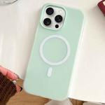 For iPhone 15 Pro Skin Feel MagSafe Magnetic PC Hybrid TPU Phone Case(Light Cyan)