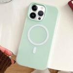 For iPhone 12 Pro Max Skin Feel MagSafe Magnetic PC Hybrid TPU Phone Case(Light Cyan)
