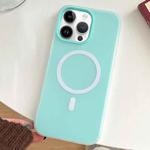 For iPhone 12 Pro Max Skin Feel MagSafe Magnetic PC Hybrid TPU Phone Case(Mint Green)