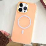 For iPhone 12 Pro Max Skin Feel MagSafe Magnetic PC Hybrid TPU Phone Case(Orange)