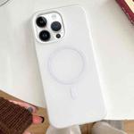 For iPhone 12 Pro Max Skin Feel MagSafe Magnetic PC Hybrid TPU Phone Case(White)