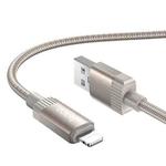 hoco X117 1m Star Fast Charging Data Cable, Interface:USB to 8 Pin(Gold)