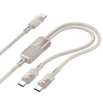 hoco U139 100W Type-C to Type-C and Type-C Fast Charging Data Cable, Length: 1.2m(Gold)
