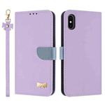 For iPhone X / XS Metal Bow Leather Phone Case with Hand Strap(Purple)