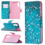 For OPPO Realme 6 Colored Drawing Pattern Horizontal Flip Leather Case with Holder & Card Slots & Wallet(Plum Blossom)