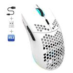 HXSJ T66 3 Modes Wired 2.4G BT5.3 Wireless RGB Rechargeable Mouse(White)